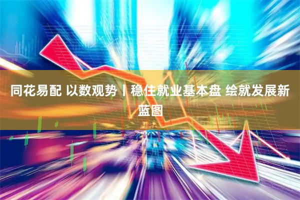 同花易配 以数观势丨稳住就业基本盘 绘就发展新蓝图