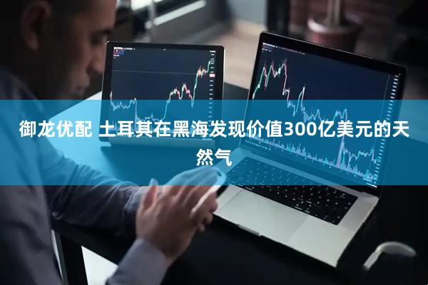 御龙优配 土耳其在黑海发现价值300亿美元的天然气