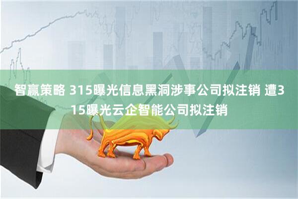 智赢策略 315曝光信息黑洞涉事公司拟注销 遭315曝光云企智能公司拟注销