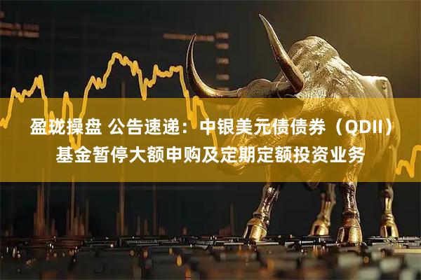 盈珑操盘 公告速递：中银美元债债券（QDII）基金暂停大额申购及定期定额投资业务