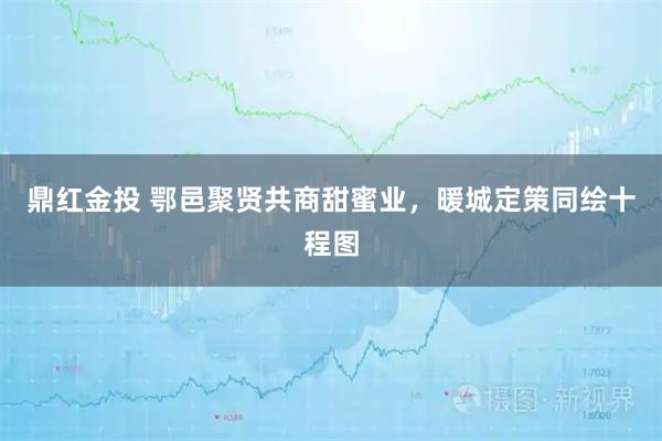 鼎红金投 鄂邑聚贤共商甜蜜业，暖城定策同绘十程图