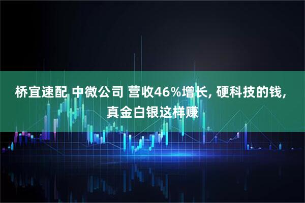 桥宜速配 中微公司 营收46%增长, 硬科技的钱, 真金白银这样赚