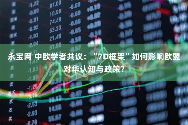 永宝网 中欧学者共议:“7D框架”如何影响欧盟对华认知与政策?